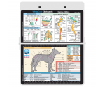 WhiteCoat Clipboard - White Canine Edition